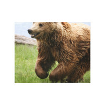 Brown Bear Running Stretched Canvas Prints