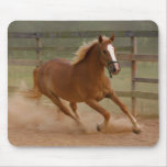 Brown Beauty Mousepad