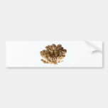 Brown beech mushrooms bumper stickers