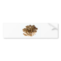 Brown beech mushrooms bumper stickers
