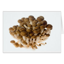 Brown beech mushrooms card