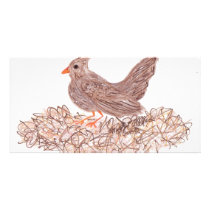 Brown Bird
