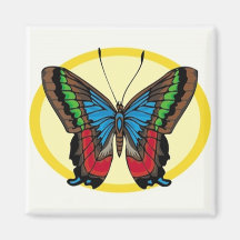 Brown blue green and red winged butterfly fridge magnet