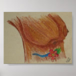 Brown Breasts Poster