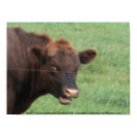 Brown Bull Talk posters