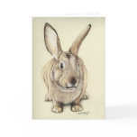 "Brown Bunny" Animal Art Greeting Card