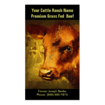 Brown Cattle  for  Beef Ranch or Farm Business Card Templates