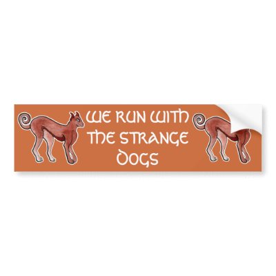 Brown Celtic Brindle Greyhound Bumper Stickers by Greenwick