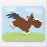 Brown Cob usmat Use Pads
