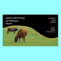 brown cows grazing business cards