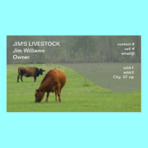 brown cows grazing business cards