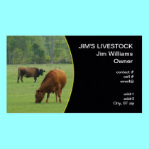 brown cows grazing business cards