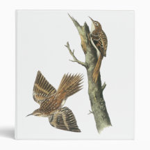 Brown Creeper, John Audubon 3 Ring Binders