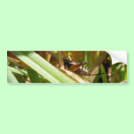 Brown Cricket bumper stickers