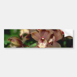 Brown Cymbidium flowers Bumper Sticker