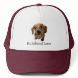Brown Dachshund Pup Mesh Hats