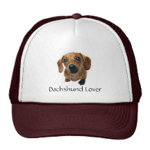 Brown Dachshund Pup Mesh Hats