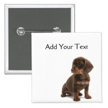 Brown Dachshund Puppy Button