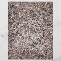 Brown dead grass texture flyers