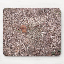 Brown dead grass, weeds, and leaves mouse pad
