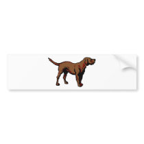 Brown Dog bumper stickers
