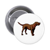 Brown Dog buttons