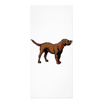 Brown Dog rack cards