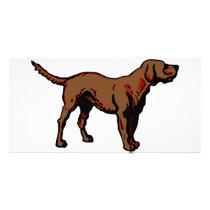 Brown Dog photo cards
