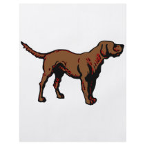 Brown Dog flyers