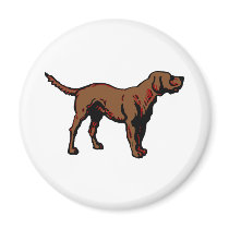 Brown Dog magnets