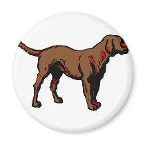 Brown Dog magnets