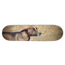 Brown dog skate board deck
