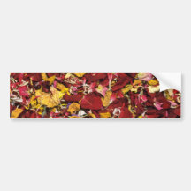 Brown Dried flower petals flowers Bumper Sticker