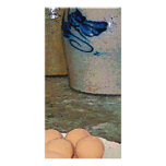 Brown Eggs and Ginger Jars Customized Photo Card