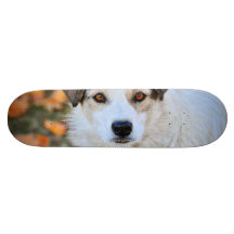Brown eyed dog skate board deck