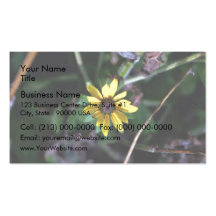 Brown Eyed Susan Business Card Template