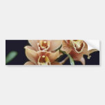 Brown Firewheel, Close Up (Cymbidium) flowers Bumper Stickers
