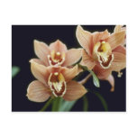 Brown Firewheel, Close Up (Cymbidium) flowers Post Cards