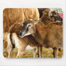 Brown Fuzzies Mouse Pads