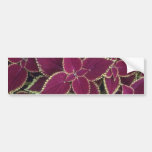 Brown Garden Coleus (Coleus Hybridus) flowers Bumper Stickers