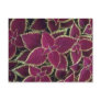 Brown Garden Coleus (Coleus Hybridus) flowers Post Cards