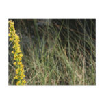 Brown green grass background design photo post cards