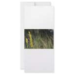 Brown green grass background design photo personalized rack card