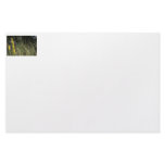 Brown green grass background design photo stationery
