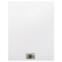 Brown Hawk mouth open glaring at camera Letterhead Design