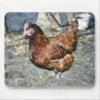 Brown Hen On The Back Yard Mousepad