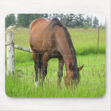 Brown Horse Eatting Grass in a Bright Green Field Mouse Pads