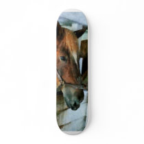 Brown Horse in Stall Skate Board