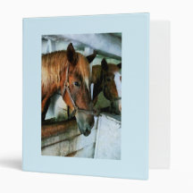 Brown Horse in Stall Vinyl Binders