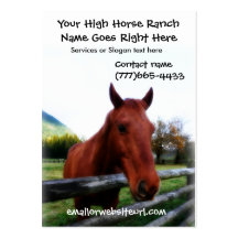 Brown Horse Photographic Portrait Business Card Template